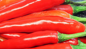 ip攻击器网页版