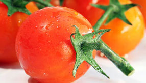 网页DDOS攻击平台